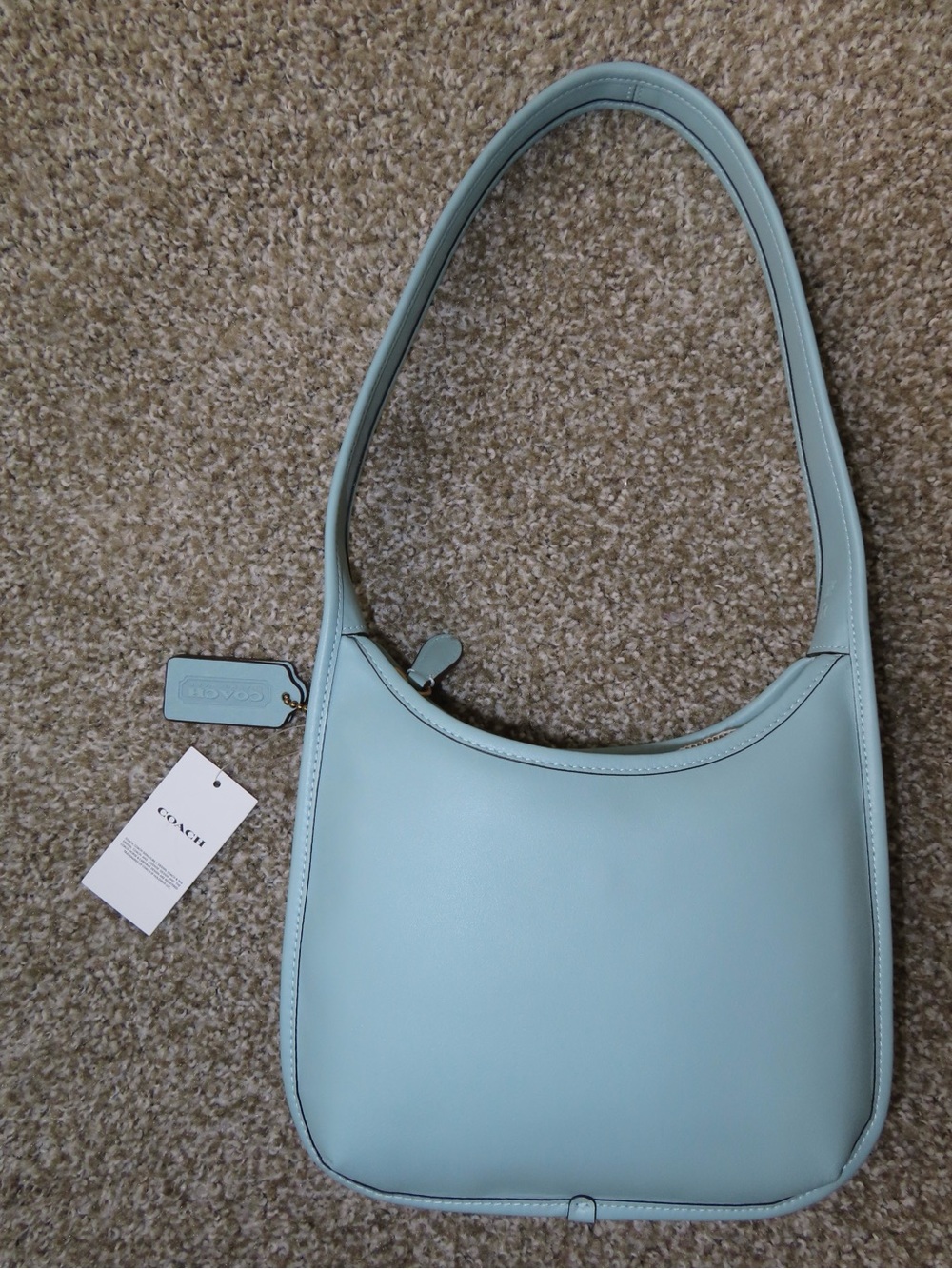 COACH Glov Curve Zip Bag in Light Blue
